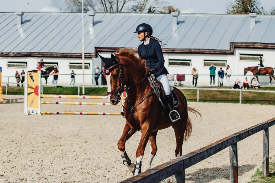 Результаты чемпионата и первенства Нижегородской области по конному спорту 